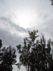 ". . . just as he came up from the water, suddenly the heavens were opened to him and he saw the Spirit of God descending like a dove and alighting on him."  (Matthew 3:16)  The heavens at the Jordan River, Galilee.  9 March 2014.