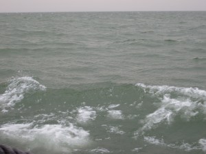 A sudden storm began.  8 March 2014.