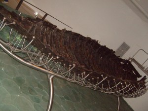 First Century boat excavated from the Sea of Galilee.
