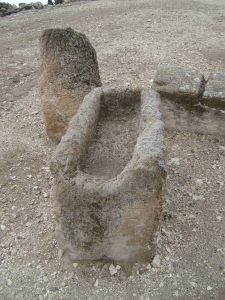 A remaining ancient manger (for feeding horses) on Megiddo.